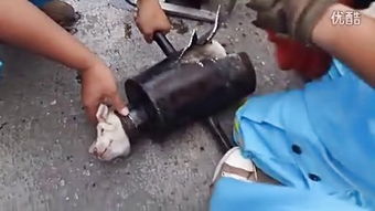 鋼管與扣件 現(xiàn)代建筑施工中的關鍵構件